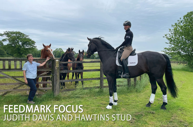Feedmark Focus - Judith Davis and Hawtins Stud
